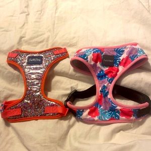 Adorable dog Harnesses size large